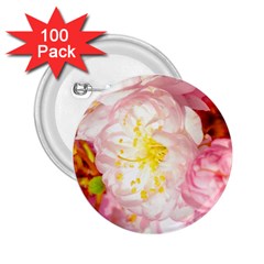 Pink Flowering Almond Flowers 2 25  Buttons (100 Pack)  by FunnyCow