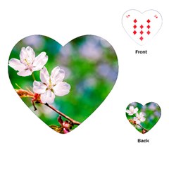 Sakura Flowers On Green Playing Cards (heart)  by FunnyCow