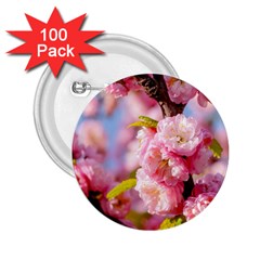 Flowering Almond Flowersg 2 25  Buttons (100 Pack)  by FunnyCow