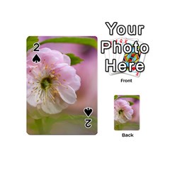 Single Almond Flower Playing Cards 54 (mini)  by FunnyCow
