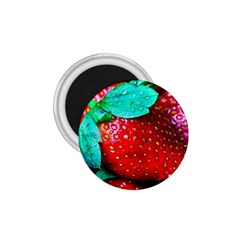 Red Strawberries 1 75  Magnets by FunnyCow