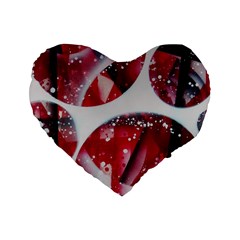 Ecstacy Standard 16  Premium Heart Shape Cushions by WILLBIRDWELL