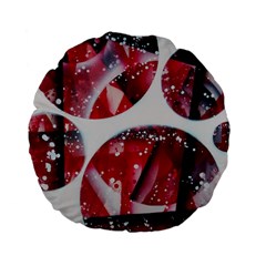 Ecstacy Standard 15  Premium Flano Round Cushions by WILLBIRDWELL