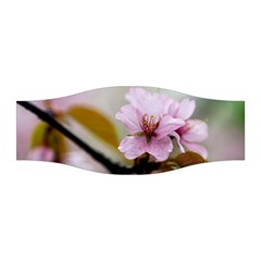 Soft Rains Of Spring Stretchable Headband by FunnyCow