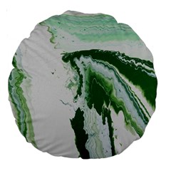 Envy Large 18  Premium Round Cushions by WILLBIRDWELL