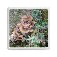 Abstract Of Mushroom Memory Card Reader (square) by canvasngiftshop