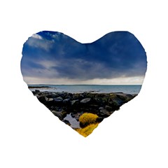 Iceland Nature Mountains Landscape Standard 16  Premium Heart Shape Cushions by Sapixe