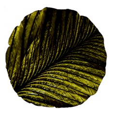 Feather Macro Bird Plumage Nature Large 18  Premium Round Cushions by Sapixe