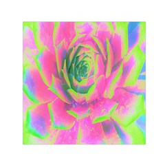 Lime Green And Pink Succulent Sedum Rosette Small Satin Scarf (square) by myrubiogarden