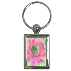 Lime Green And Pink Succulent Sedum Rosette Key Chains (rectangle)  by myrubiogarden