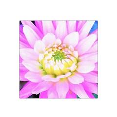 Pretty Pink, White And Yellow Cactus Dahlia Macro Satin Bandana Scarf by myrubiogarden