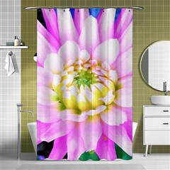 Pretty Pink, White And Yellow Cactus Dahlia Macro Shower Curtain 48  X 72  (small)  by myrubiogarden