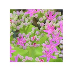 Hot Pink Succulent Sedum With Fleshy Green Leaves Small Satin Scarf (square) by myrubiogarden
