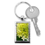 Elegant Chartreuse Green Limelight Hydrangea Macro Key Chains (Rectangle)  Front