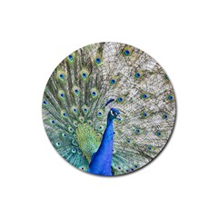 Peacock Bird Colorful Plumage Rubber Coaster (round)  by Wegoenart
