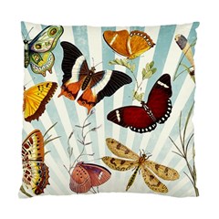 My Butterfly Collection Standard Cushion Case (two Sides) by WensdaiAmbrose