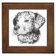 Dog Animal Domestic Animal Doggie Framed Tiles by Wegoenart