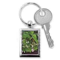 Garden Of The Phoenix  Key Chains (rectangle)  by Riverwoman