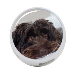 Laying In Dog Bed 4-port Usb Hub (one Side) by pauchesstore