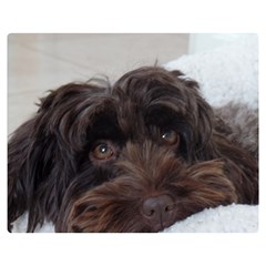 Laying In Dog Bed Double Sided Flano Blanket (medium)  by pauchesstore