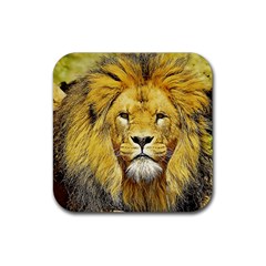 Lion Lioness Wildlife Hunter Rubber Coaster (square)  by Pakrebo