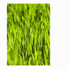 Agricultural Field   Large Garden Flag (two Sides) by rsooll