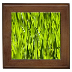 Agricultural Field   Framed Tiles by rsooll