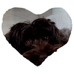Laying In Dog Bed Large 19  Premium Heart Shape Cushions Front