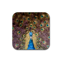 Peacock Feather Peacock Feather Rubber Coaster (square)  by Pakrebo