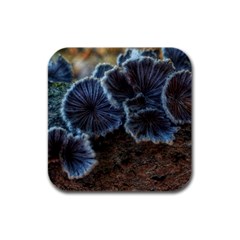 Tree Fungus Rubber Square Coaster (4 Pack)  by okhismakingart