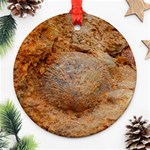 Shell Fossil II Ornament (Round) Front