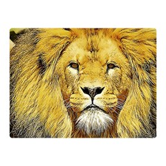 Lion Lioness Wildlife Hunter Double Sided Flano Blanket (mini)  by Pakrebo