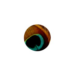 Feather Peacock Feather Peacock 1  Mini Buttons by Nexatart
