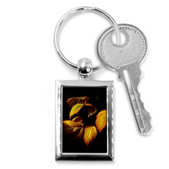 Nature Yellow Plant Leaves Key Chain (rectangle) by Pakrebo