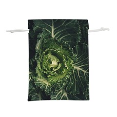 Plant Leaf Flower Green Produce Vegetable Botany Flora Cabbage Macro Photography Flowering Plant Lightweight Drawstring Pouch (m) by Vaneshart