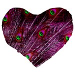 Peacock Feathers Color Plumage Large 19  Premium Flano Heart Shape Cushions Back