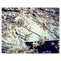 Plum Blossoms Double Sided Flano Blanket (medium)  by okhismakingart