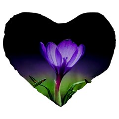 Flower Large 19  Premium Flano Heart Shape Cushions by Sparkle