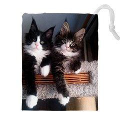 Cats Brothers Drawstring Pouch (4xl) by Sparkle