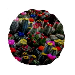 Cactus Standard 15  Premium Round Cushions by Sparkle