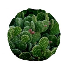 Green Cactus Standard 15  Premium Round Cushions by Sparkle