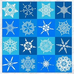 Snowflakes Canvas 12  X 12  by Sobalvarro