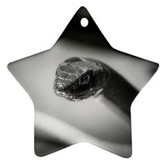 Black And White Snake Star Ornament (two Sides) by ExtraAwesomeSauce