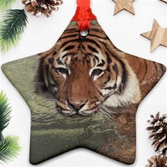 Swimming Tiger Ornament (star) by ExtraAwesomeSauce