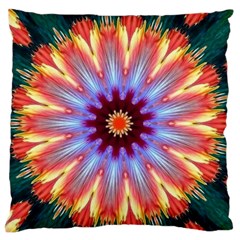 Passion Flower Large Flano Cushion Case (two Sides) by LW323
