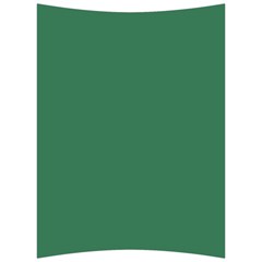 Amazon Green Back Support Cushion by FabChoice