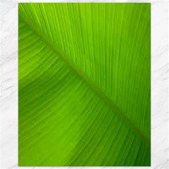 Banana Leaf Canvas 16  X 20  by artworkshop