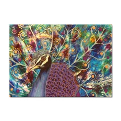 Peacock Mixed Media Bird Animal Sticker A4 (10 Pack) by danenraven
