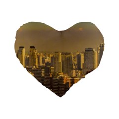 Buenos Aires City Aerial View002 Standard 16  Premium Flano Heart Shape Cushions by dflcprintsclothing