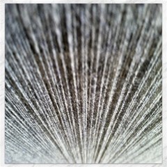 Light Cloud Canvas 16  X 16  by artworkshop